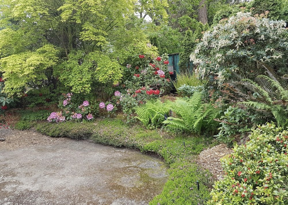 Eversfield Garden And Landscape Offers Turf Installations in Victoria