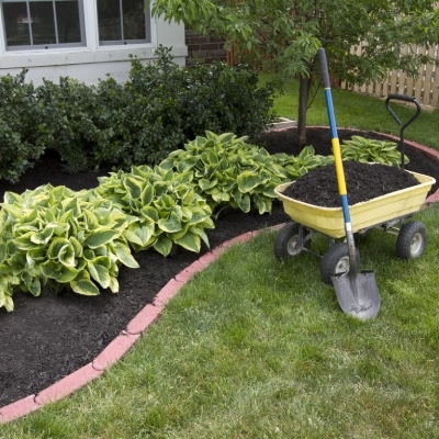 LANDSCAPING MAINTENANCE